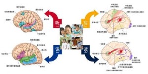 番茄畅听如何实现高效盈利？背后有哪些成功秘诀？