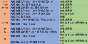 农村养鸡小程序真的能带来收益吗？如何实现盈利？