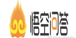 悟空问答副业如何高效提升收益？实战技巧大公开！