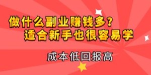当下最适合新手尝试的副业是什么？轻松入门赚钱攻略！