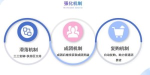 卖坚果如何选择高利润生意模式？