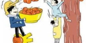 年轻人为何纷纷选择回农村创业？这些项目究竟有何吸引力？