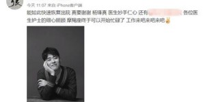 三鹏背后的深意究竟何在？其命运之中又隐藏着哪些未解之谜？