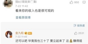 大姐的收入为何如此可观？她的赚钱秘诀是什么？