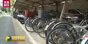 一口气租下350辆车，真的能赚大钱吗？