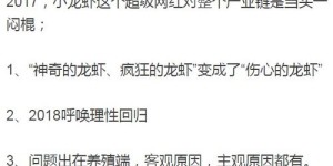 养小龙真的能赚钱吗？揭开其背后的经济效益与风险