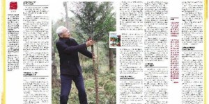 爷爷的桃源农院如何实现盈利？背后的经营秘诀是什么？