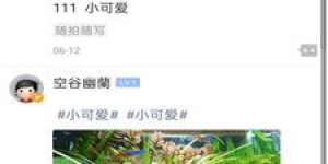 宾县的自助团购平台官网有哪些独特优势，你了解吗？