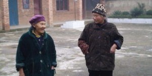 在农村陪伴老人，有哪些赚钱的好方法？