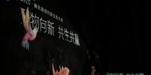 小伙子如何用石头创造财富？独家视频解析全过程