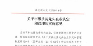 如何访问扶贫自助平台官网进行查询？