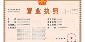 黔西南地区的自助开票平台如何使用？探索其功能与优势