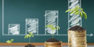 如何实现自我盈利同时助力他人财富增长？