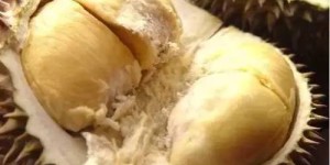 想尝试榴莲自由？揭秘同城榴莲自助团购平台，你准备好了吗？