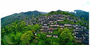 想了解巴南区自助游？哪个直播平台带你探索本地精彩？