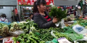 济南的自助卖菜平台哪家强？探索本地最便捷的智能买菜新体验