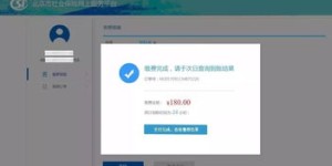 如何通过居民自助服务平台官网进行查询？