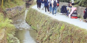 想在宜宾屏山找到自助团购的最佳平台？这里有你需要的吗？