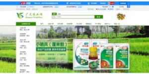 怀仁有哪些优质的自助团购网站？它们的网址是什么？
