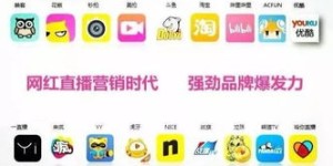 网红自助下单代刷平台真的存在吗？这是否是下一个电商趋势？