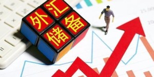 投身猪肠碌制作，能否实现财富增长？