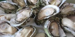 想要低价品尝临沂新鲜生蚝？揭秘一家生蚝自助团购平台，你试过了吗？