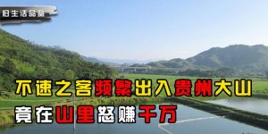 农村大山里有哪些快速赚钱的商机？