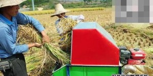 为什么打工和种地都难挣钱？农村出路在何方？