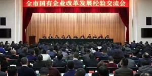 沈变怎么样，沈变是国企吗？