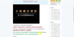 如何通过分享个人观看视频实现盈利？