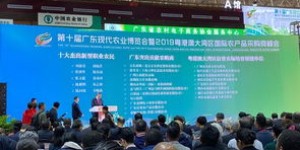 拼多多助力活动为何频遭投诉扰民？真相究竟如何？