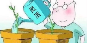 初次灵活就业，必备条件有哪些？就业准备全解析