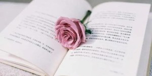 写小说副业为何不签约？坚持原创的背后故事是什么？