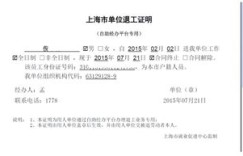 上海自助经办平台提供的图片有哪些特色和使用指南？