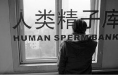 中国有哪些自助捐精平台？探索其运作模式与安全性