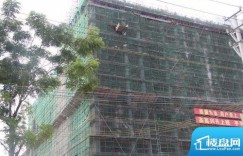 杭州三花国际品质如何？具体地址在哪里？