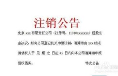 如何将副业转型为合法法人身份？