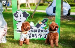 会被如何颠覆？首个萌宠自助卖货平台即将亮相