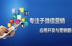 微商玩具炒作团队如何缔造销售神话？揭秘背后的策略奥秘