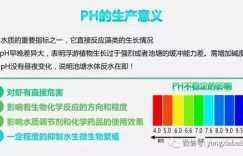 投身养虾事业，真的能实现财富增长吗？
