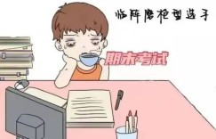 驾校周边有哪些值得一试的副业机会？