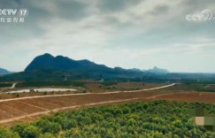 两百亩荒山如何利用才能实现最高收益？