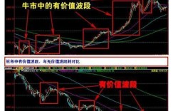 卖小竹笋赶集真的能赚钱吗？市场行情和利润分析