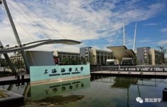 你想了解上海海事大学的自助平台有哪些功能吗？