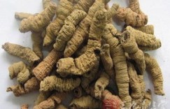 蜈蚣与哪些中药搭配能壮阳补肾？效果如何？