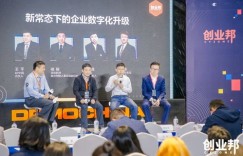 兽装销售真的能带来可观收益吗？