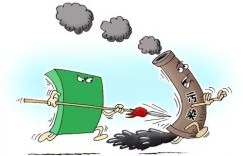 如何打造既环保又赚钱的可持续性发展副业？