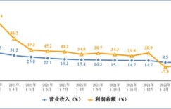 徐大大如何带你玩转副业，实现额外收入？