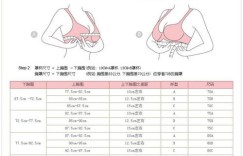 胸杯尺寸如何界定？多大胸围才算丰满？