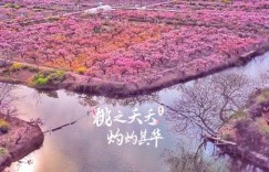 竹外桃花何处寻？春色藏于何处景？